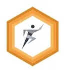 Online coaching Basic / jaar (25% korting)